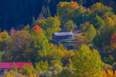 Artvin Dağları. Sahra platosunun sabah ışığı manzarası. Türkiye 'nin kuzeyinde seyahat yerleri. Savsat bölgesi yakınlarındaki geleneksel Karadeniz ahşap evleri.