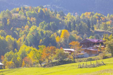 Savsat Bölgesi 'nde sonbahar sezonu. Artvin, Türkiye. Savsat Gözlem Terası 'ndan güzel bir sonbahar manzarası. Renkli vadi manzarası.