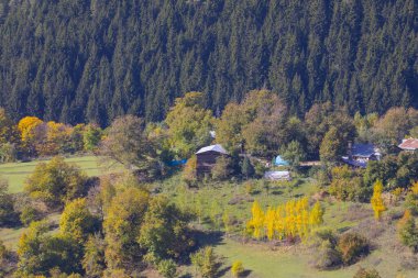 Savsat Bölgesi 'nde sonbahar sezonu. Artvin, Türkiye. Savsat Gözlem Terası 'ndan güzel bir sonbahar manzarası. Renkli vadi manzarası.