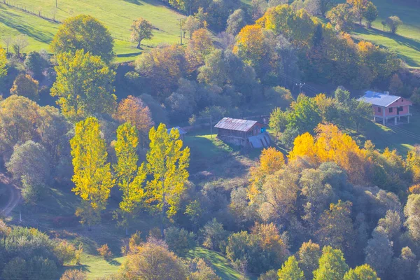 stock image Autumn season in the Savsat District. Artvin, Turkey. Beautiful autumn landscape from Savsat Observation Terrace. Colorful valley view.