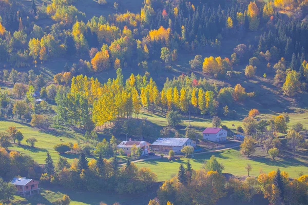 萨瓦萨区 阿尔特文 土耳其 美丽的秋天风景来自萨瓦卫星观测平台 五彩缤纷的山谷景 — 图库照片