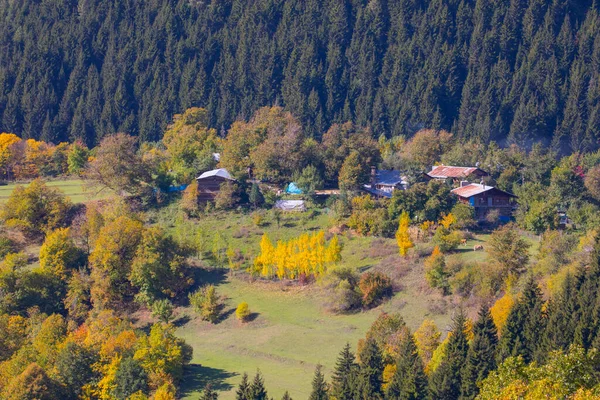 Jesienny Sezon Dystrykcie Savsat Artvin Turcja Piękny Jesienny Krajobraz Savsat — Zdjęcie stockowe