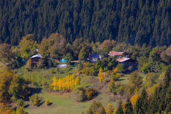 Herbstzeit Distrikt Savsat Artvin Türkei Schöne Herbstlandschaft Von Der Savsat — Stockfoto