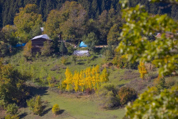 Jesienny Sezon Dystrykcie Savsat Artvin Turcja Piękny Jesienny Krajobraz Savsat — Zdjęcie stockowe