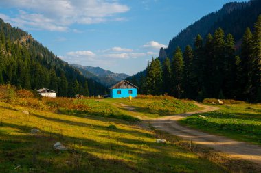 Doğanın ortasında mavi doğal bir dağ evi.
