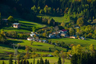 Sonbaharda Duzce 'deki yaylada Chaletler