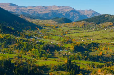 Sonbaharda Duzce 'deki yaylada Chaletler