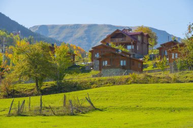 Sonbaharda Duzce 'deki yaylada Chaletler