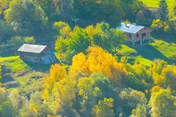 Domki Płaskowyżu Duzcach Jesienią — Zdjęcie stockowe