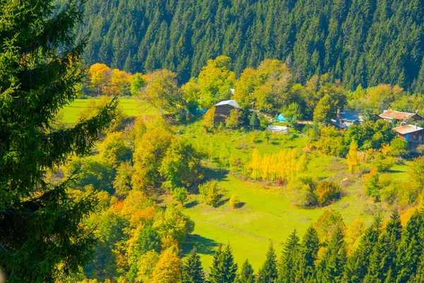 Hütten Auf Der Hochebene Duzce Herbst — Stockfoto