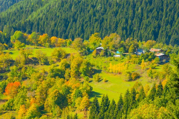 Domki Płaskowyżu Duzcach Jesienią — Zdjęcie stockowe