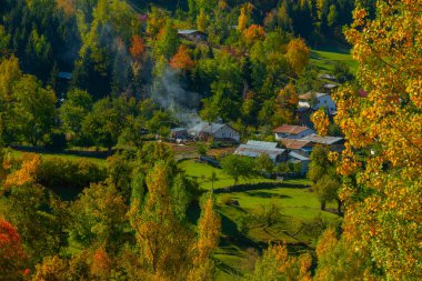 Sonbahar manzarası ve sarı yapraklar. Kastamonu 'nun Kre Dağları Milli Parkı' ndaki Ilca köyündeki geleneksel evler