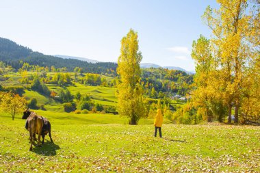 Sonbahar manzarası ve sarı yapraklar. Kastamonu 'nun Kre Dağları Milli Parkı' ndaki Ilca köyündeki geleneksel evler