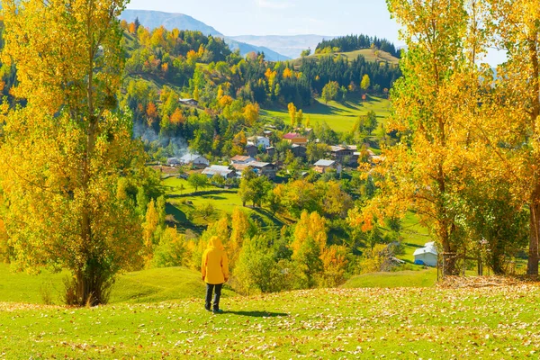 Autumn landscape and yellow leaves. Traditional houses in Ilca village in Kre Mountains National Park, Kastamonu, Turkey