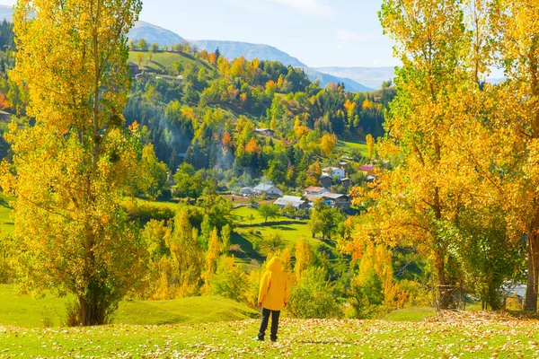 秋天的风景和黄叶 土耳其Kastamonu Kre Mountains国家公园Ilca村的传统住房 — 图库照片