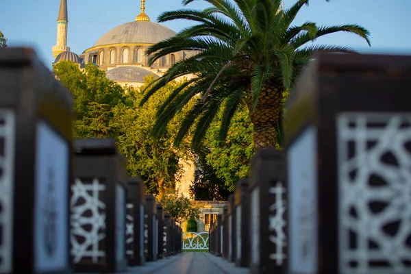 Sultanahmet Moskee Blauwe Moskee Avond Istanboel Turkije — Stockfoto
