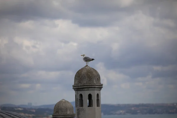 Τουρκία Κωνσταντινούπολη Βόσπορος Και Ασιατική Κωνσταντινούπολη Από Τζαμί Suleymaniye — Φωτογραφία Αρχείου
