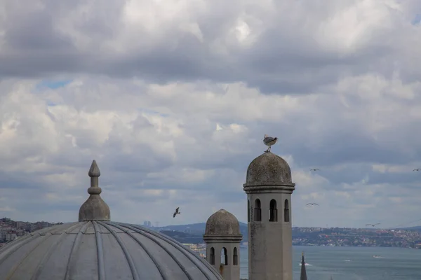 Turquia Istambul Bósforo Istambul Asiática Mesquita Suleymaniye — Fotografia de Stock