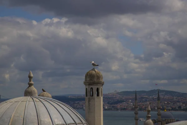 Τουρκία Κωνσταντινούπολη Βόσπορος Και Ασιατική Κωνσταντινούπολη Από Τζαμί Suleymaniye — Φωτογραφία Αρχείου