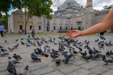 Beyazit Mosque - 16th century Ottoman imperial mosque as seen from the Beyazt Square (Freedom Square).