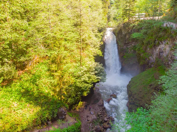 Palovit Waterfall Green Forest Rize Turkey — Stock Photo, Image