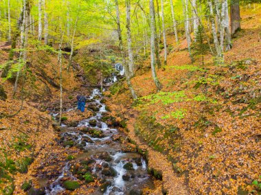 Bulutların üzerindeki sonbahar ormanı - Yedigoller, Türkiye - Yedigoller, Türkiye 'nin Yedigoller Park Bolu kentindeki sonbahar manzarası