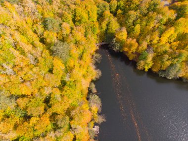 Bulutların üzerindeki sonbahar ormanı - Yedigoller, Türkiye - Yedigoller, Türkiye 'nin Yedigoller Park Bolu kentindeki sonbahar manzarası