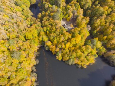 Bulutların üzerindeki sonbahar ormanı - Yedigoller, Türkiye - Yedigoller, Türkiye 'nin Yedigoller Park Bolu kentindeki sonbahar manzarası