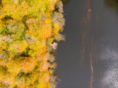 Bulutların üzerindeki sonbahar ormanı - Yedigoller, Türkiye - Yedigoller, Türkiye 'nin Yedigoller Park Bolu kentindeki sonbahar manzarası