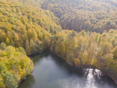 Bulutların üzerindeki sonbahar ormanı - Yedigoller, Türkiye - Yedigoller, Türkiye 'nin Yedigoller Park Bolu kentindeki sonbahar manzarası