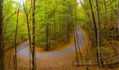 Bulutların üzerindeki sonbahar ormanı - Yedigoller, Türkiye - Yedigoller, Türkiye 'nin Yedigoller Park Bolu kentindeki sonbahar manzarası