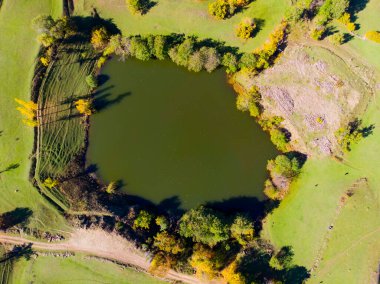 Savsat 'ta sonbahar manzarası. Artvin, Türkiye. Virajlı yolu olan güzel bir sonbahar manzarası. Hava aracı görüntüsü.