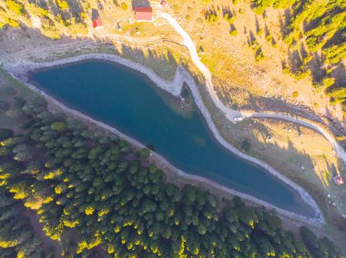 Savsat 'ta sonbahar manzarası. Artvin, Türkiye. Virajlı yolu olan güzel bir sonbahar manzarası. Hava aracı görüntüsü.