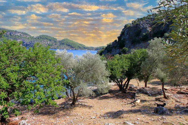 Gemiler Adası (Türkiye 'de Aziz Niklas Adası), bir zamanlar Hıristiyanlığın merkezlerinden biri olan St. Nicholas adasındaki Roma (daha sonra Bizans) yerleşimi ile bilinir.