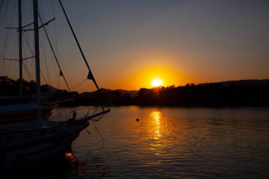 Güzel çiçekler Ortakent Türkiye'deki deniz feneri geçmiş ufka uzanan mavi/yeşil denizler ile görülebilir