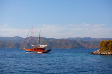 Güzel çiçekler Ortakent Türkiye'deki deniz feneri geçmiş ufka uzanan mavi/yeşil denizler ile görülebilir