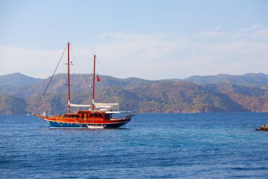 Güzel çiçekler Ortakent Türkiye'deki deniz feneri geçmiş ufka uzanan mavi/yeşil denizler ile görülebilir
