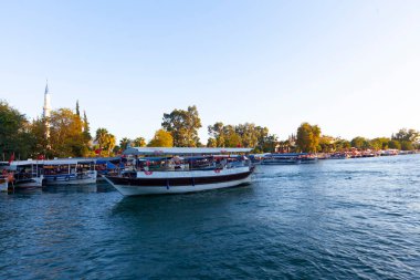 Güzel çiçekler Ortakent Türkiye'deki deniz feneri geçmiş ufka uzanan mavi/yeşil denizler ile görülebilir