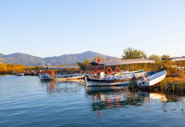 Güzel çiçekler Ortakent Türkiye'deki deniz feneri geçmiş ufka uzanan mavi/yeşil denizler ile görülebilir