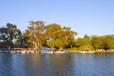 Güzel çiçekler Ortakent Türkiye'deki deniz feneri geçmiş ufka uzanan mavi/yeşil denizler ile görülebilir