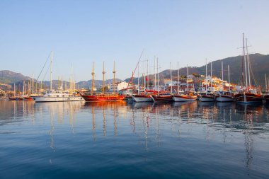 Güzel çiçekler Ortakent Türkiye'deki deniz feneri geçmiş ufka uzanan mavi/yeşil denizler ile görülebilir