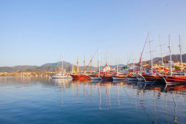 Güzel çiçekler Ortakent Türkiye'deki deniz feneri geçmiş ufka uzanan mavi/yeşil denizler ile görülebilir