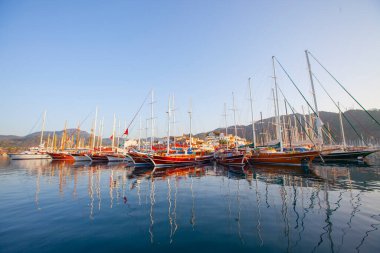 Güzel çiçekler Ortakent Türkiye'deki deniz feneri geçmiş ufka uzanan mavi/yeşil denizler ile görülebilir