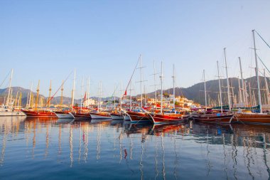 Güzel çiçekler Ortakent Türkiye'deki deniz feneri geçmiş ufka uzanan mavi/yeşil denizler ile görülebilir