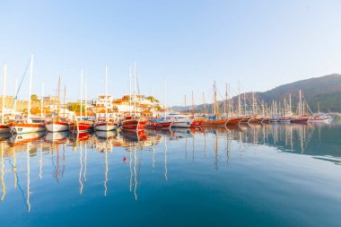 Güzel çiçekler Ortakent Türkiye'deki deniz feneri geçmiş ufka uzanan mavi/yeşil denizler ile görülebilir