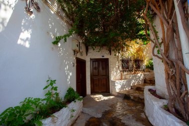 Güzel çiçekler Ortakent Türkiye'deki deniz feneri geçmiş ufka uzanan mavi/yeşil denizler ile görülebilir