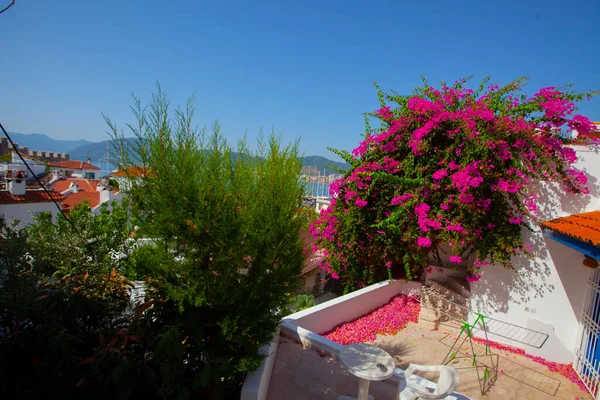 Piękne Kwiaty Widać Obok Latarni Morskiej Ortakent Turcji Mórz Niebieski — Zdjęcie stockowe