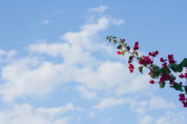 Babadag ve Ölü Deniz 'in inanılmaz manzarası