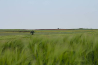 Bulutlu bir günde Antalya Lara plajı.