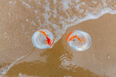 Denizde küçük akvaryumlar ve balıklar.